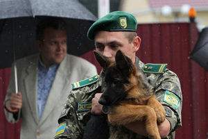 Пограничникам кинологи подарили 30 щенков служебных пород. Фоторепортаж