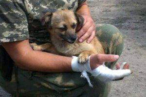 Пограничники берегут Жужу, словно VIP-персону.