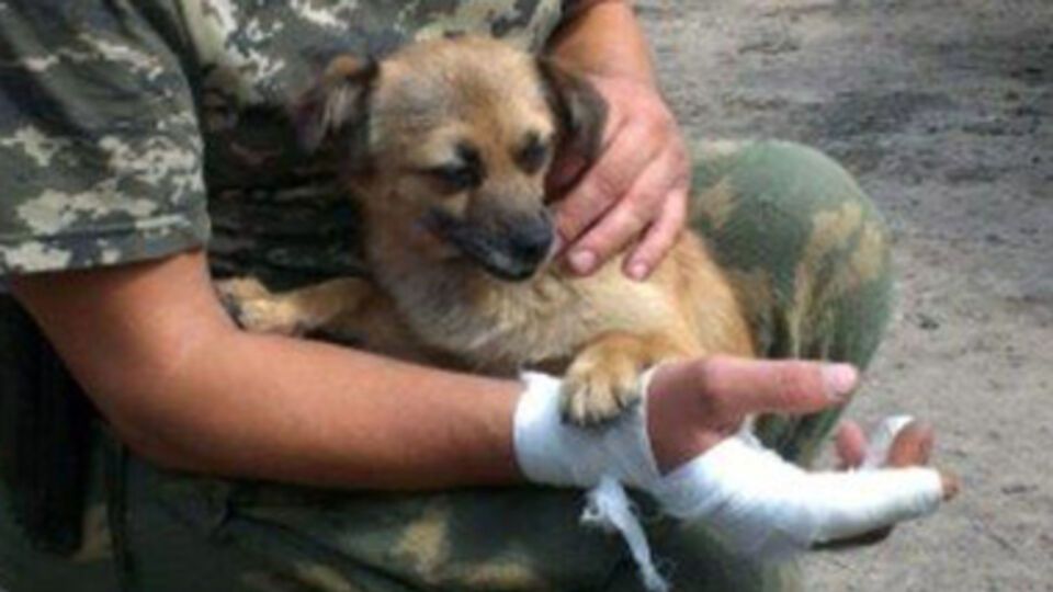 Пограничники берегут Жужу, словно VIP-персону.