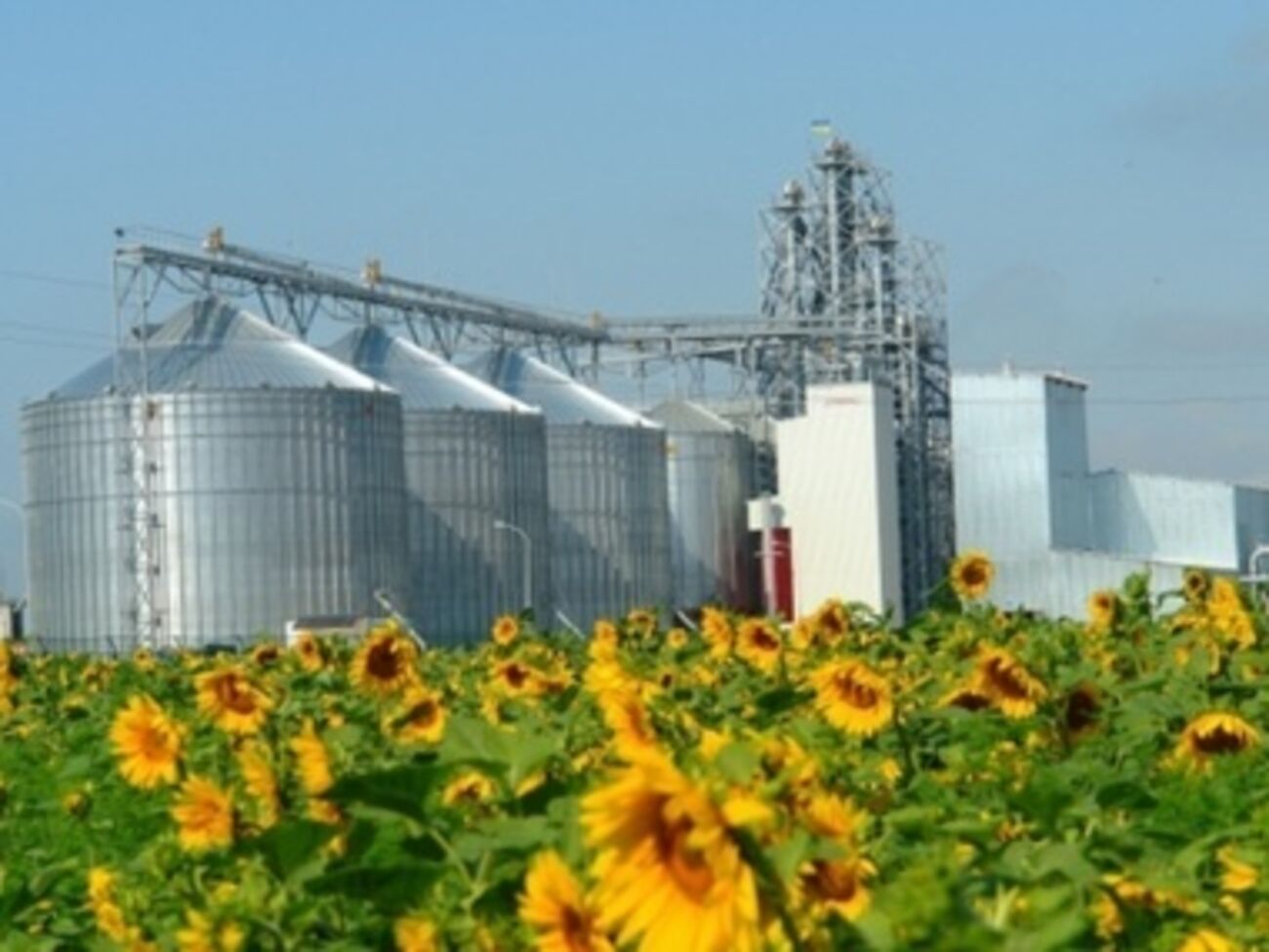 Cargill работает в Украине более 21 года