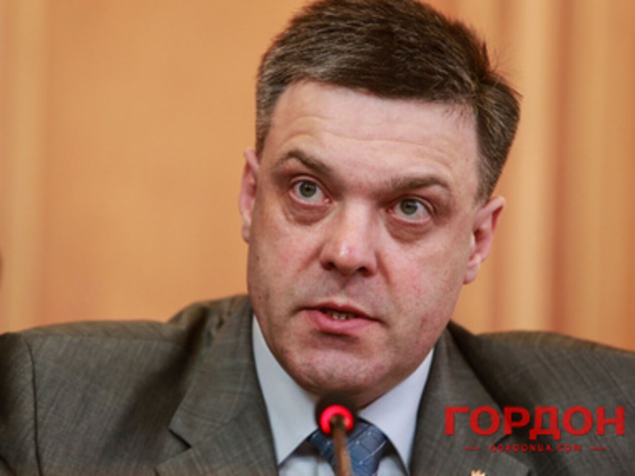 Тягнибок сообщил об успешных поисках членов экипада Ан-26