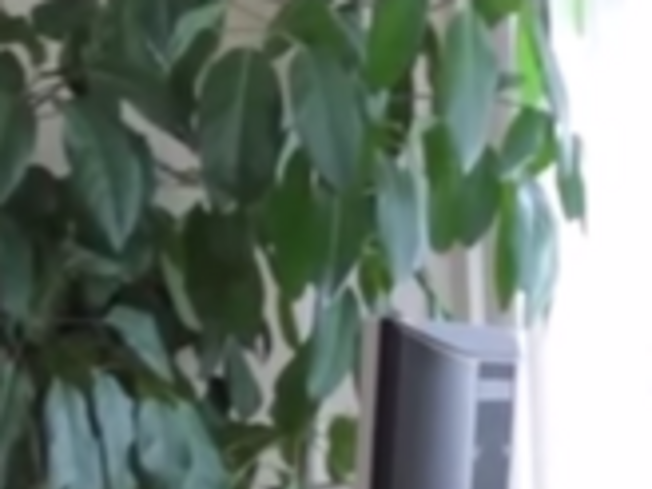 Александра Самсонова задержали сегодня утром на совещании с главой МВД Арсеном Аваковым