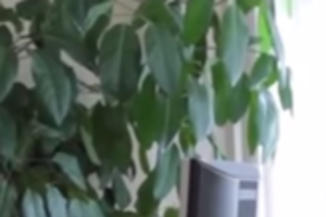 Александра Самсонова задержали сегодня утром на совещании с главой МВД Арсеном Аваковым