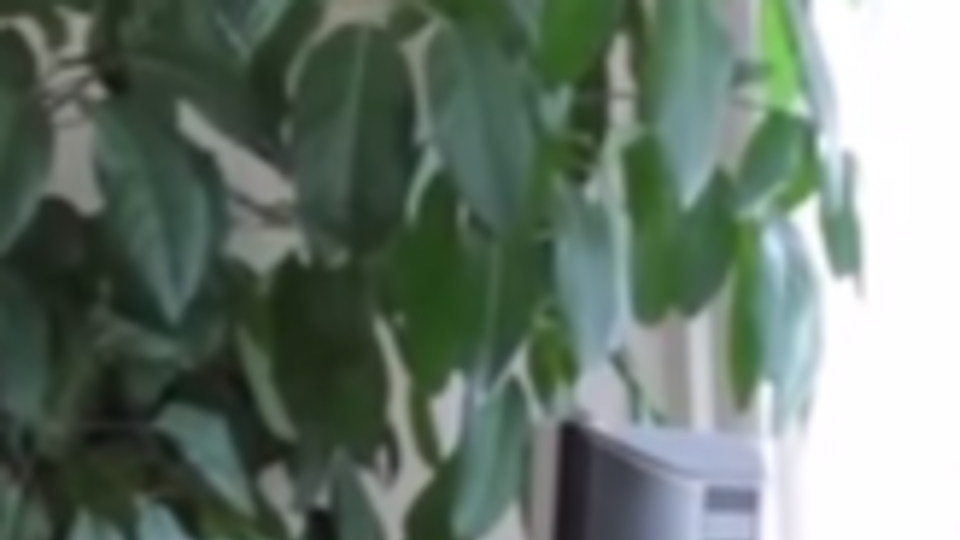 Александра Самсонова задержали сегодня утром на совещании с главой МВД Арсеном Аваковым