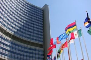 Экстренное заседание Совбеза ООН Великобритания созывает в связи с катастрофой сбитого пассажирского самолета Малайзийских авиалиний