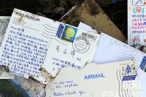 США сделали заявление по поводу катастрофы Boeing 777