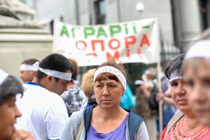 Сотрудники агрокомбината "Пуща-Водица" объявили голодовку