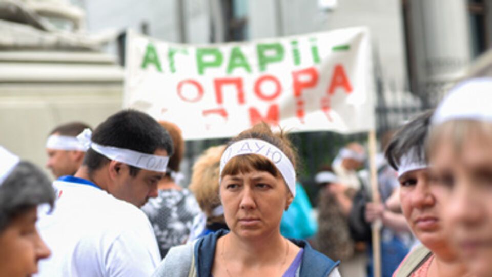 Сотрудники агрокомбината "Пуща-Водица" объявили голодовку