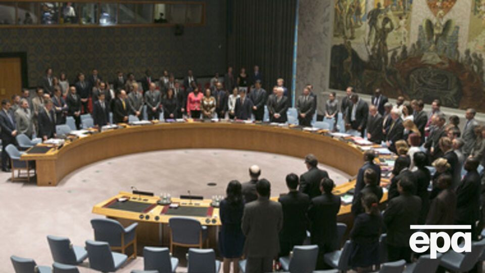 Совбез ООН потребовал "уважительного отношения" к останкам жертв крушения малазийского самолета