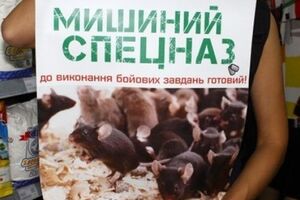 Активисты в тубусах принесли с собой ровно 46 грызунов