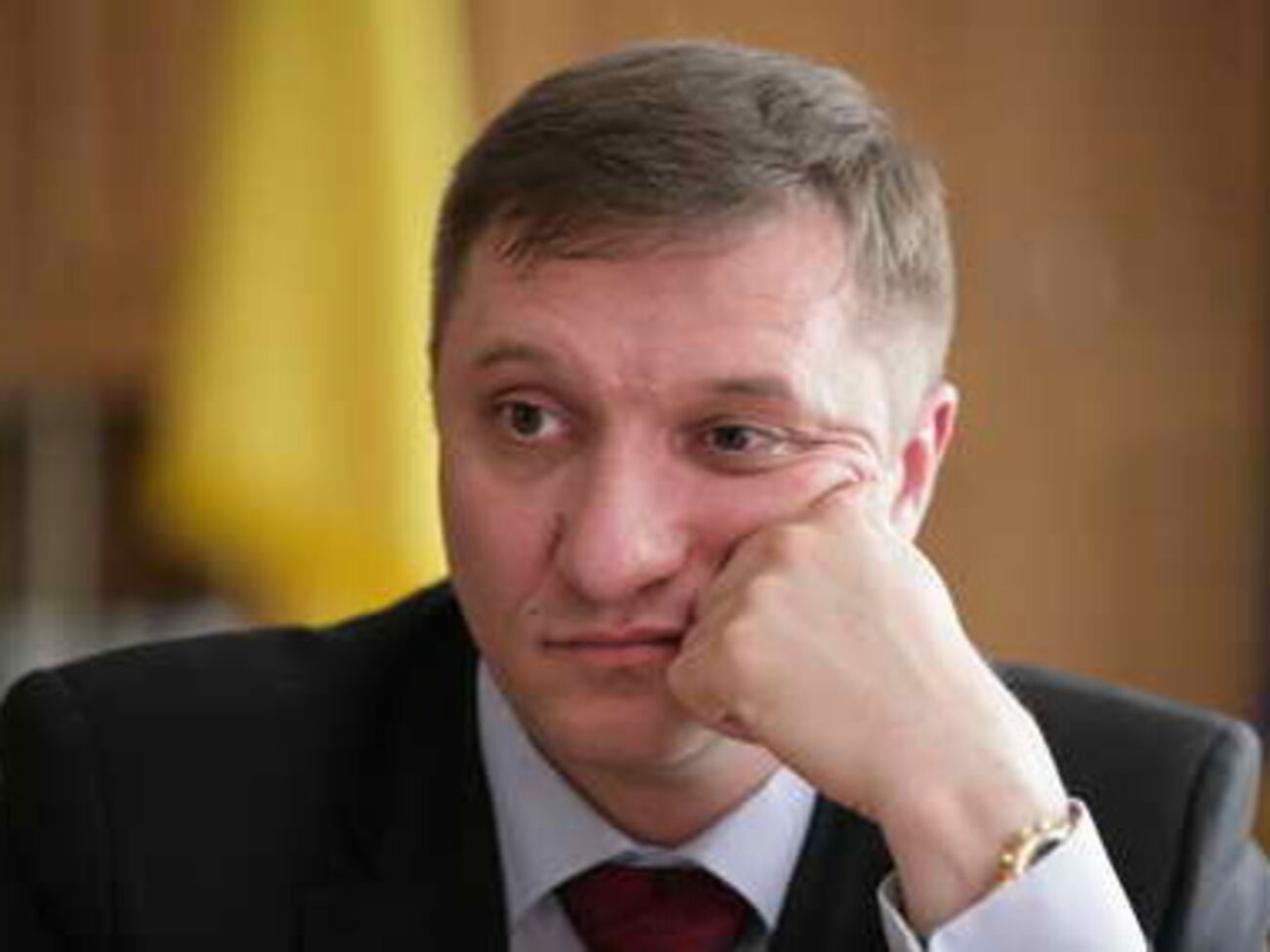 Кайда хочет принятия новых законов до роспуска Рады