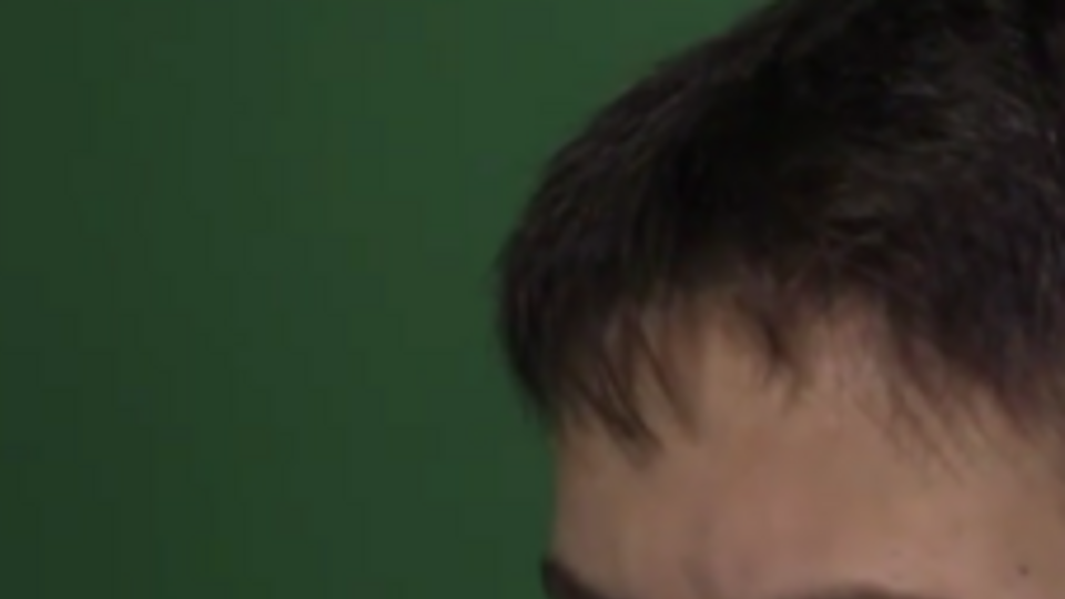 Украинскую летчицу Надежду Савченко обвиняют в убийстве российских журналистов