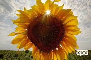 Начало августа будет жарким