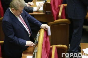 За законопроект проголосовали 250 народных депутатов