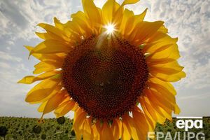 Жаркая погода установилась на всей территории страны