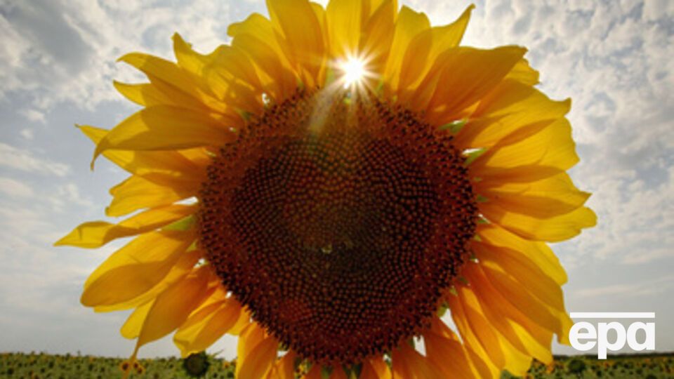 Жаркая погода установилась на всей территории страны