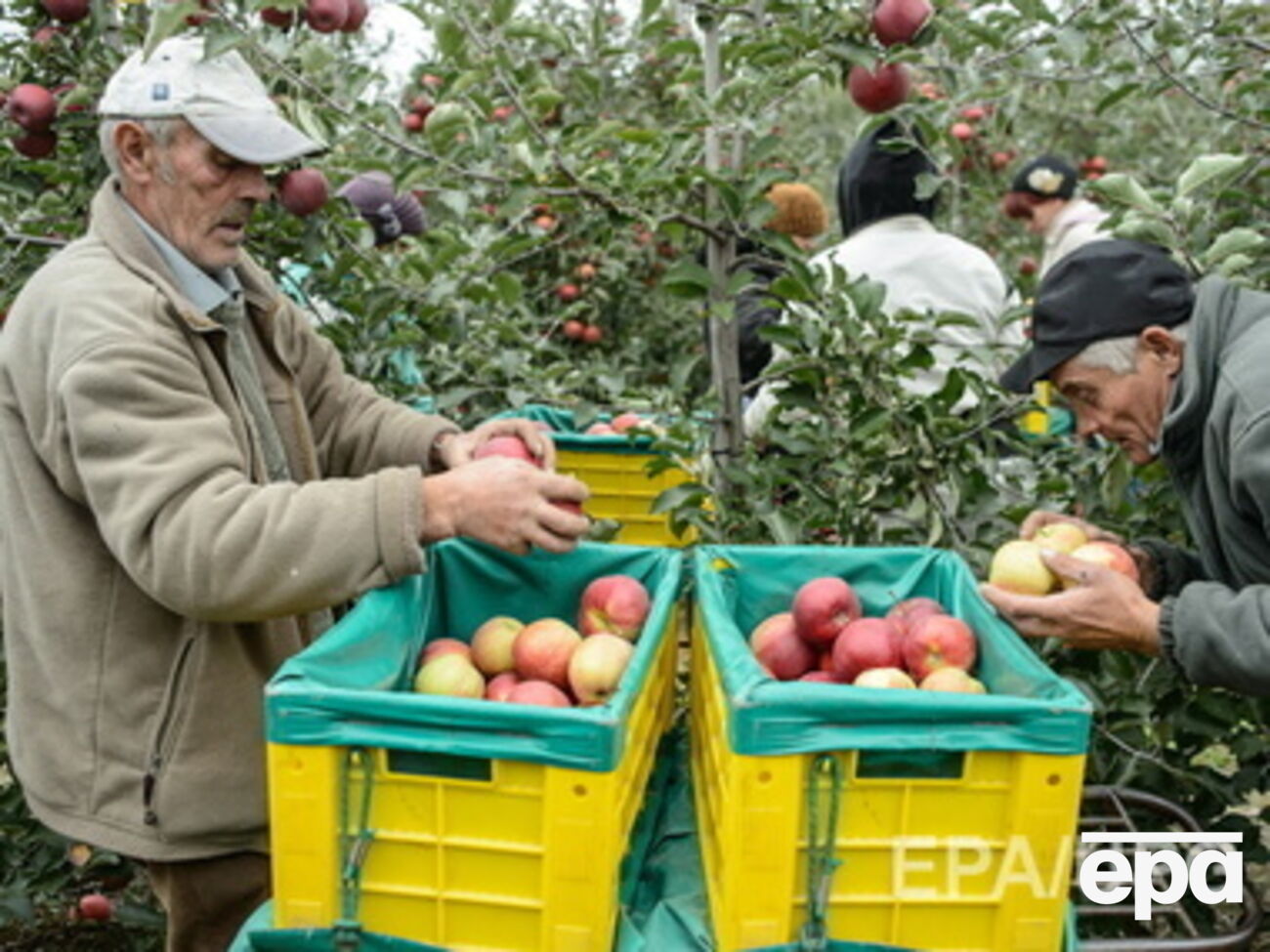 Савицкий не хочет, чтобы главными жертвами санкций ЕС и США против РФ стали польские аграрии