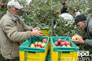 Савицкий не хочет, чтобы главными жертвами санкций ЕС и США против РФ стали польские аграрии