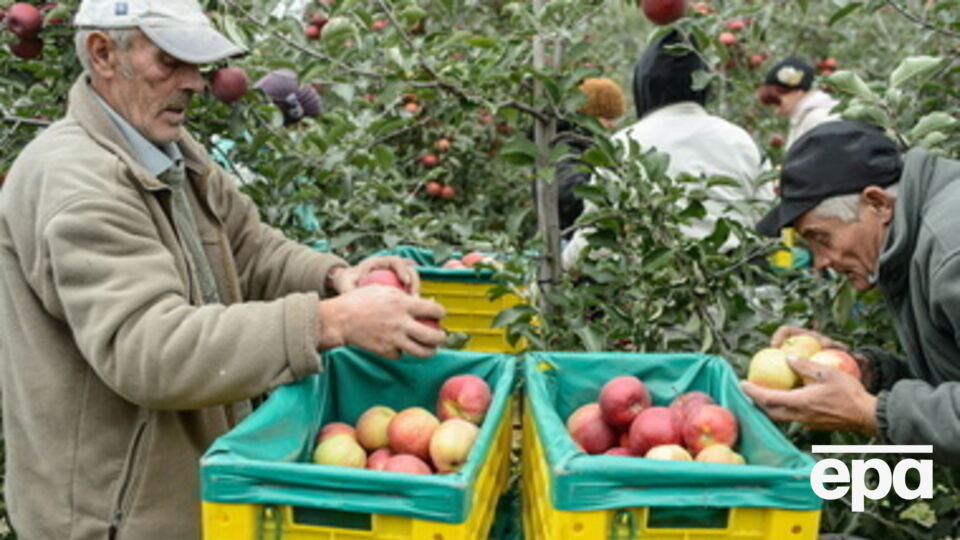 Савицкий не хочет, чтобы главными жертвами санкций ЕС и США против РФ стали польские аграрии