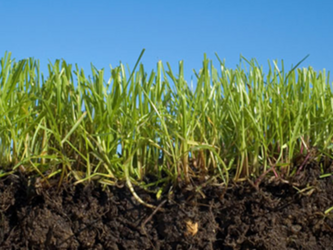 Для военных в Украине может быть использовано более 18 380 га