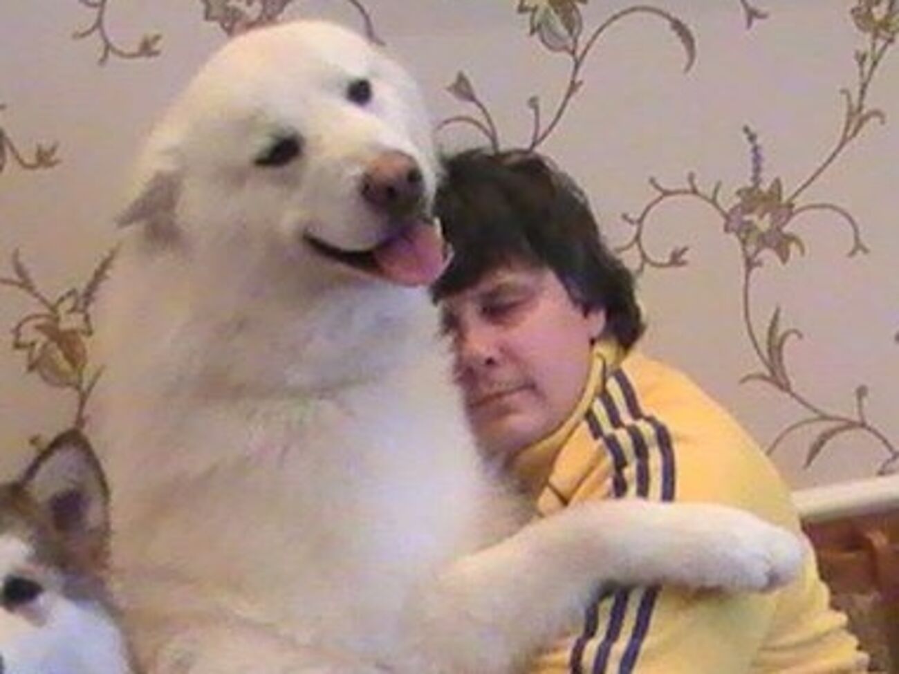 Предположительно, новый мэр Макеевки Юрий Покиньтелица