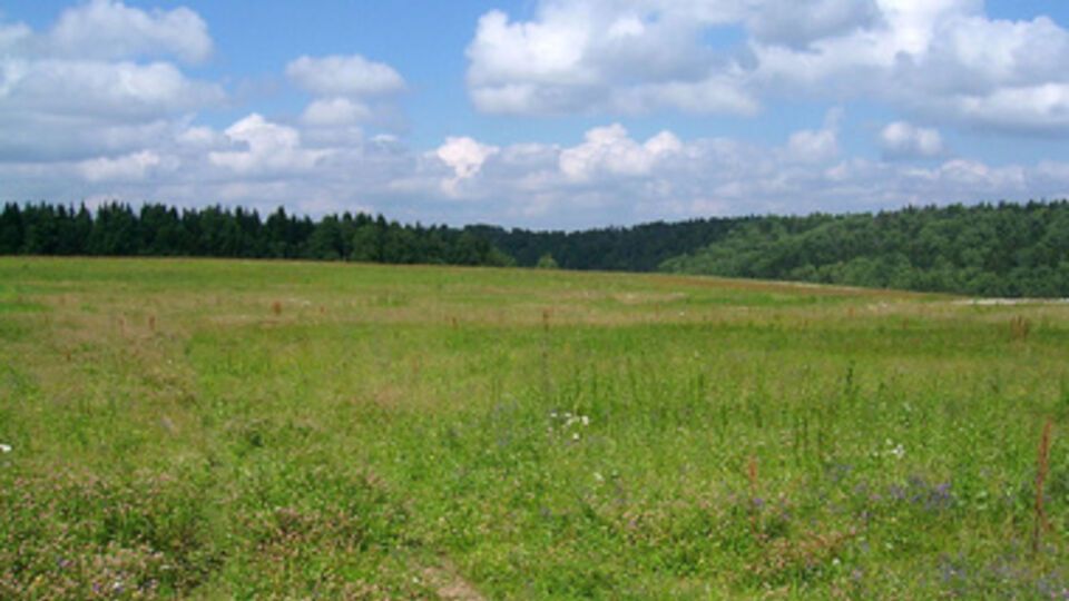 Земля была отчуждена в селе Софиевская Борщаговка Киево-Святошинского района