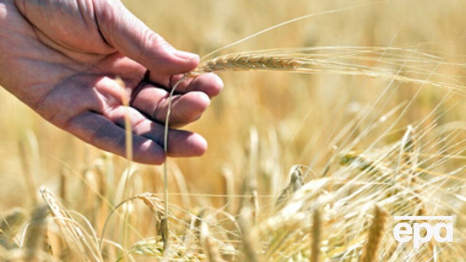 В зоне АТО сгорело более 180 га зерновых полей