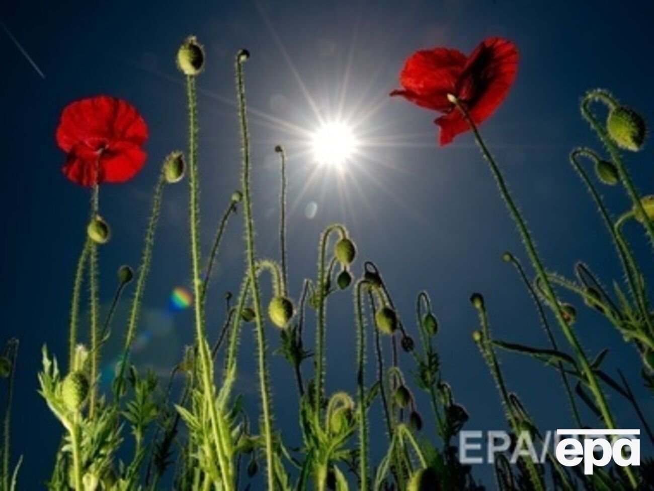 На выходных в Украине будет очень жарко