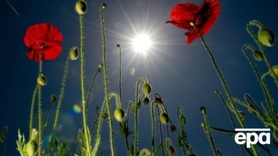 На выходных в Украине будет очень жарко