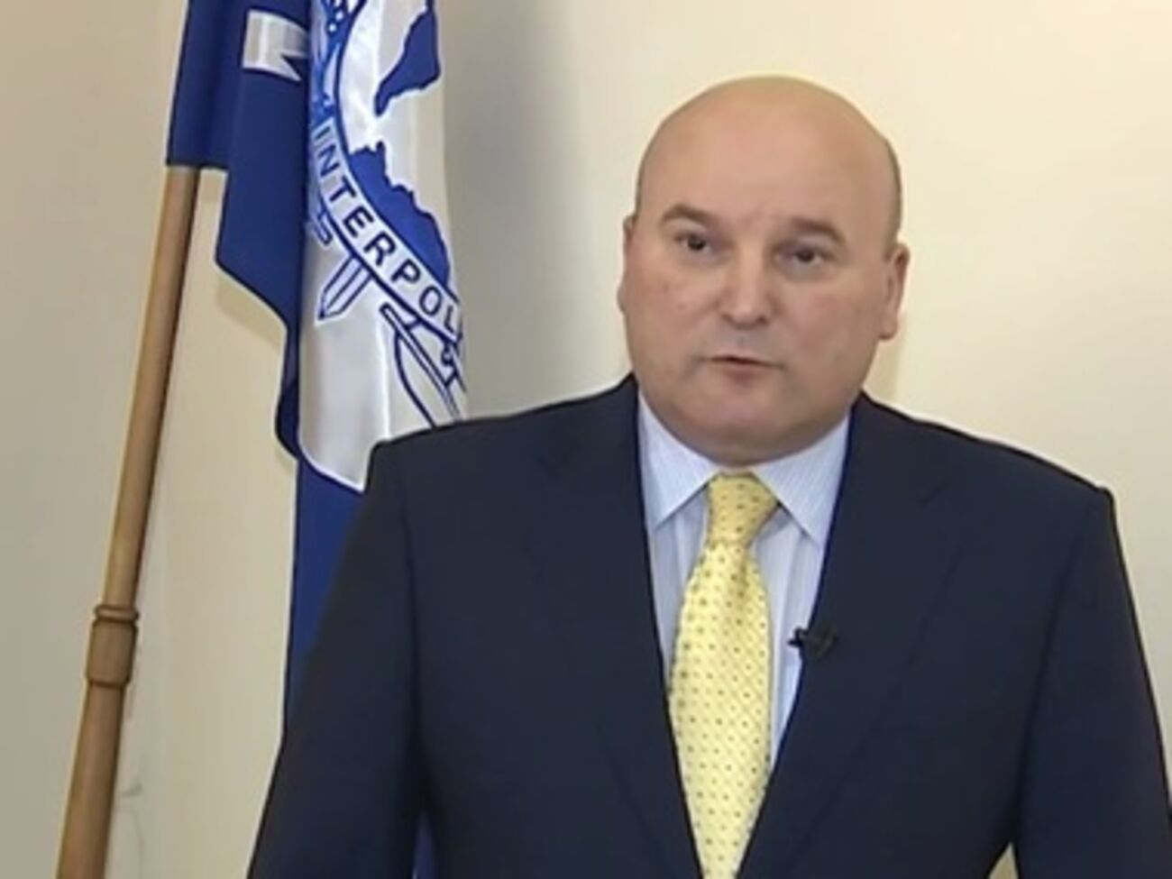 Василий Неволя: В Интерполе думают над бумагаме о розыске Януковича