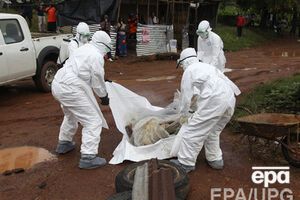 Эпидемия вируса началась в Африке