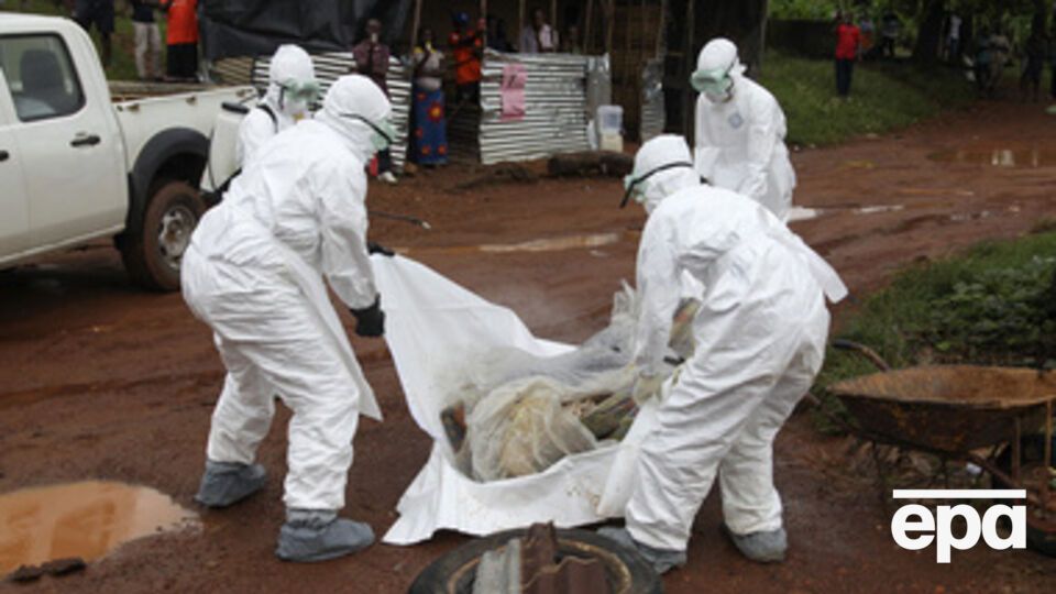 Эпидемия вируса началась в Африке