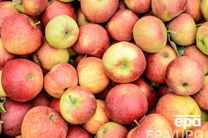 Россия запретила ввоз польской сельхозпродукции