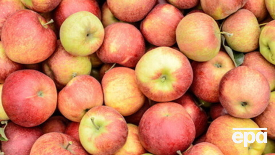 Россия запретила ввоз польской сельхозпродукции