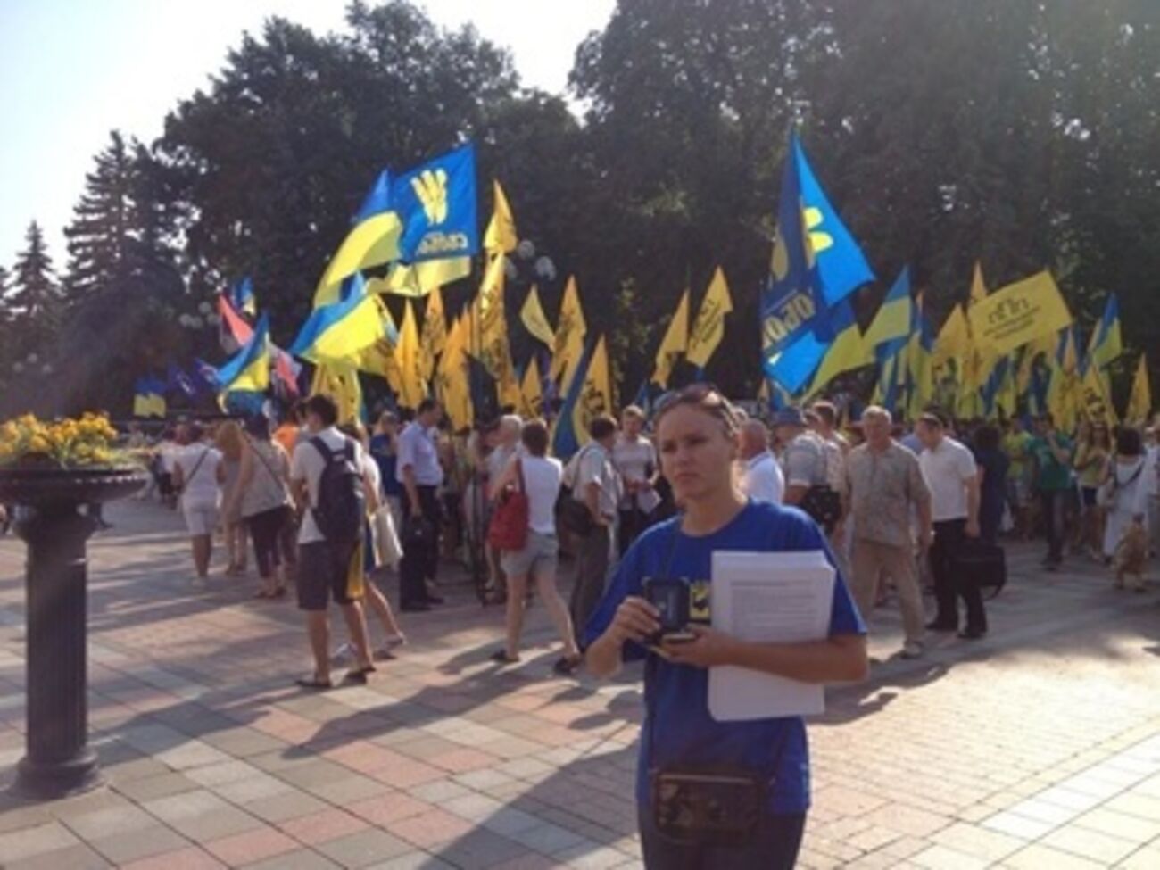 Люстрационные законопроекты внесены в повестку дня