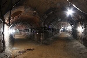 Госдума считает, что современная международная ситуация требует позаботиться о защитных мерах