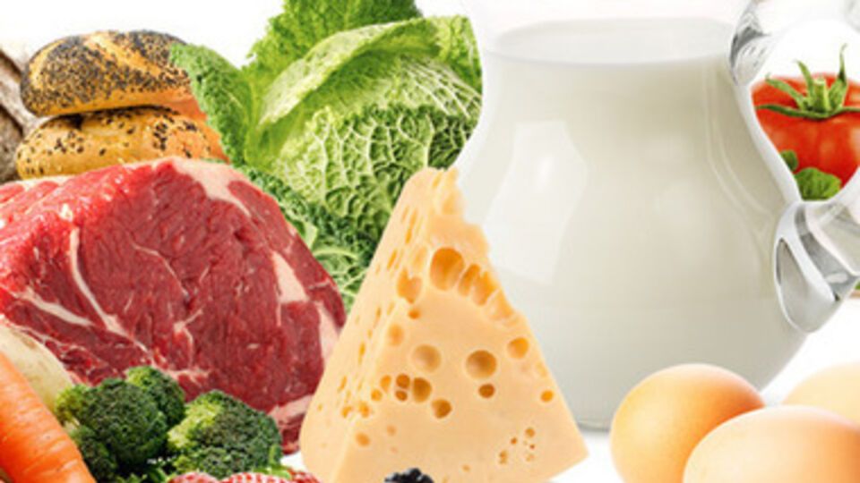 Россия и Турция будут прослеживать транспортируемую между странами продукцию