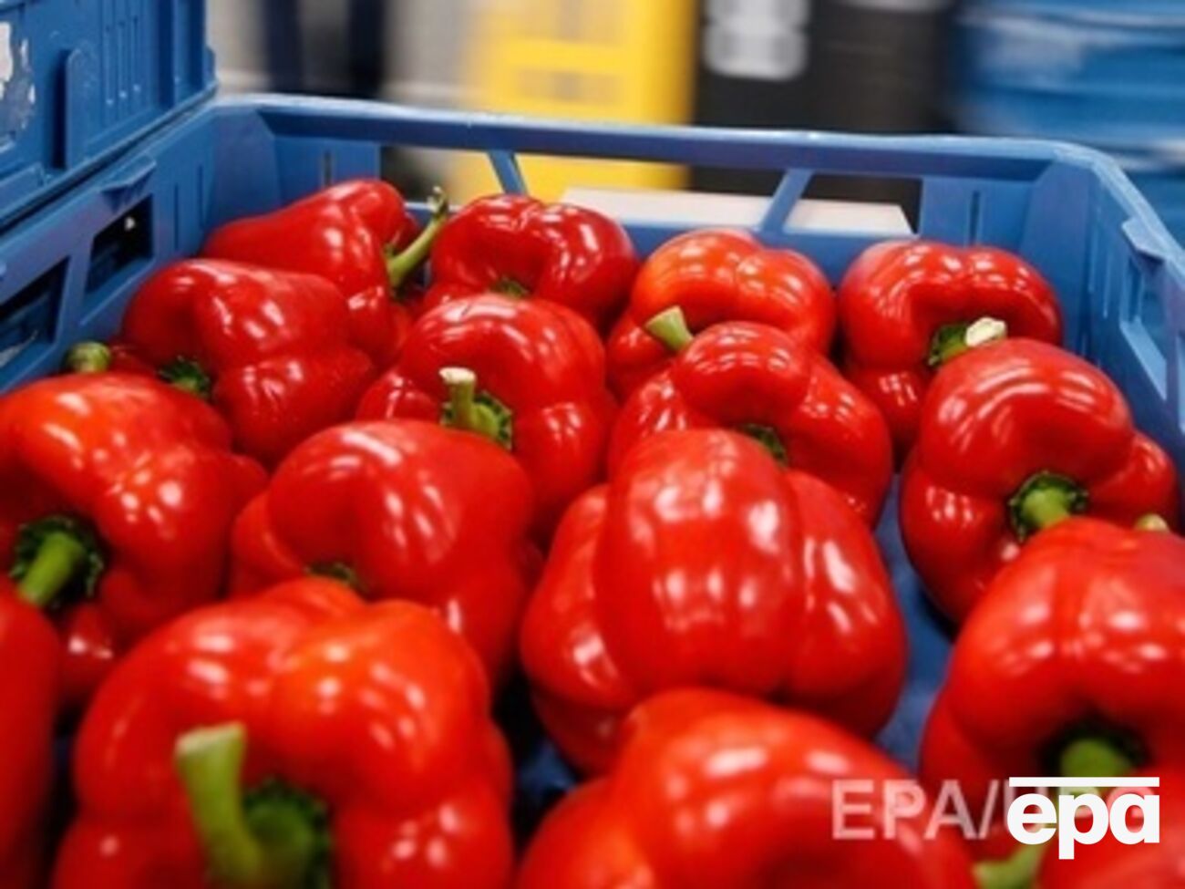 ЕС поможет фермерам