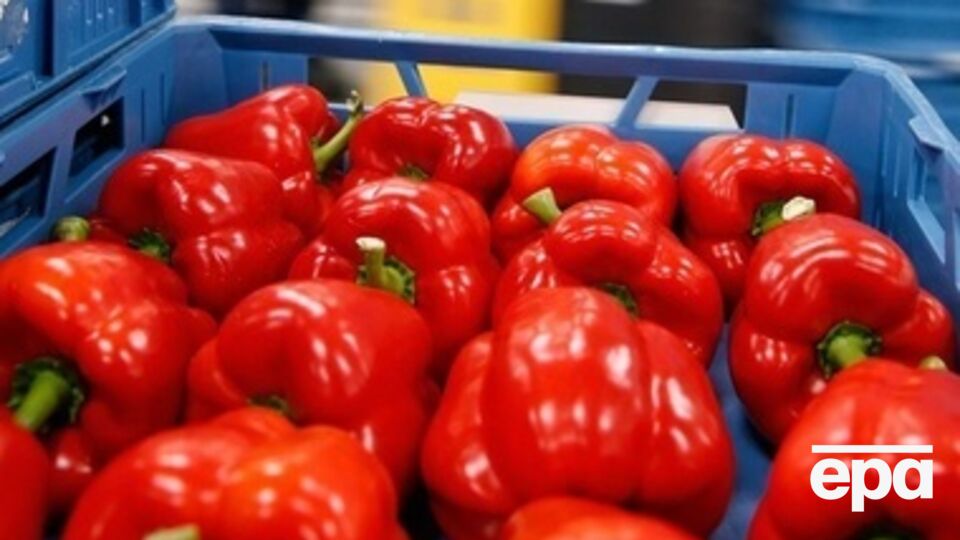 ЕС поможет фермерам