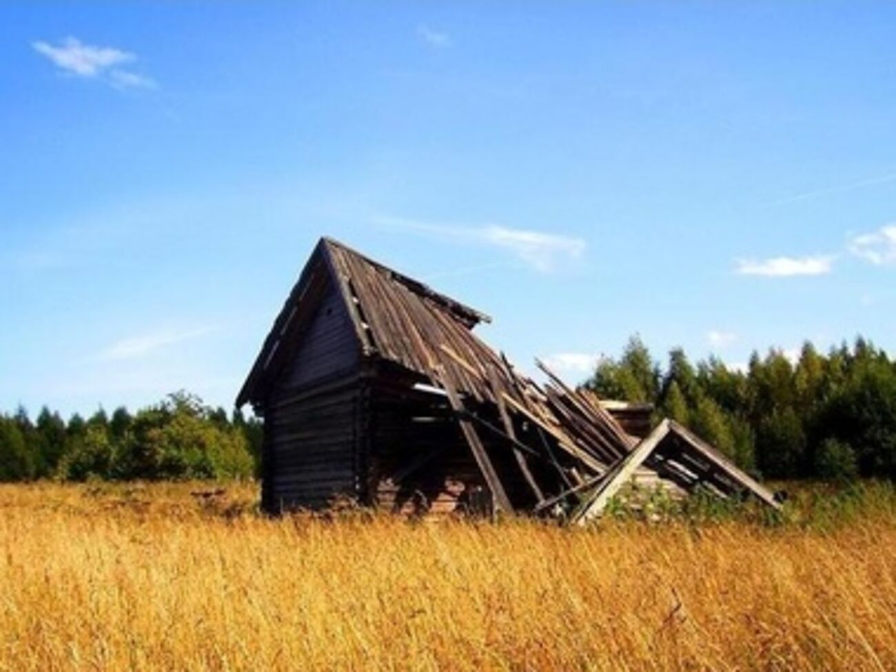 Российские фермеры не захотят рисковать