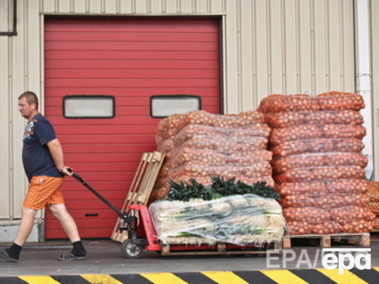 В России не приветствуется европейская говядина, свинина, плодоовощная продукция, мясо птицы, рыба, сыры, молоко и молочные продукты