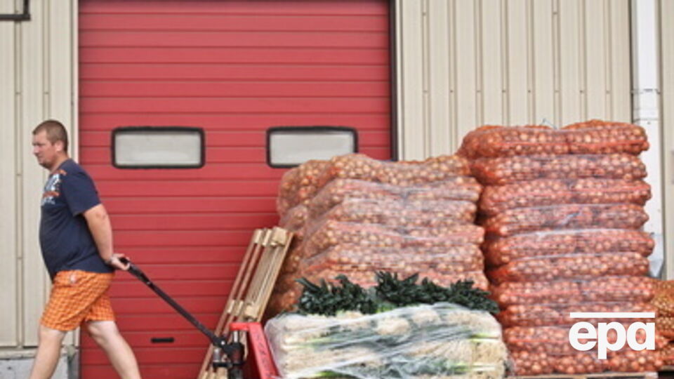 В России не приветствуется европейская говядина, свинина, плодоовощная продукция, мясо птицы, рыба, сыры, молоко и молочные продукты