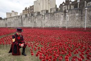 888 246 керамических маков символизируют пролитую кровь британских солдатов