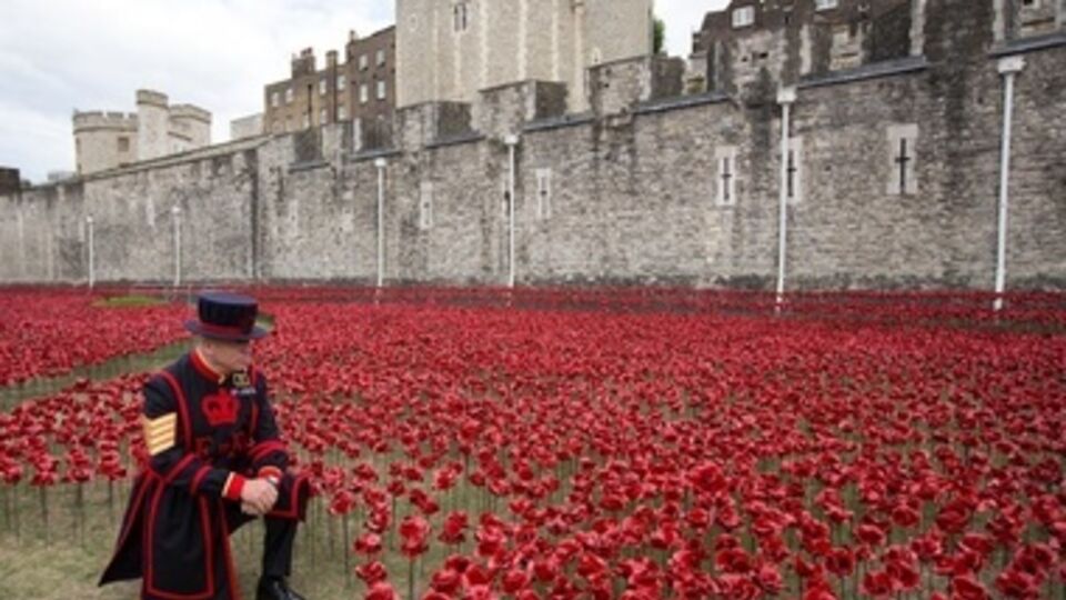 888 246 керамических маков символизируют пролитую кровь британских солдатов