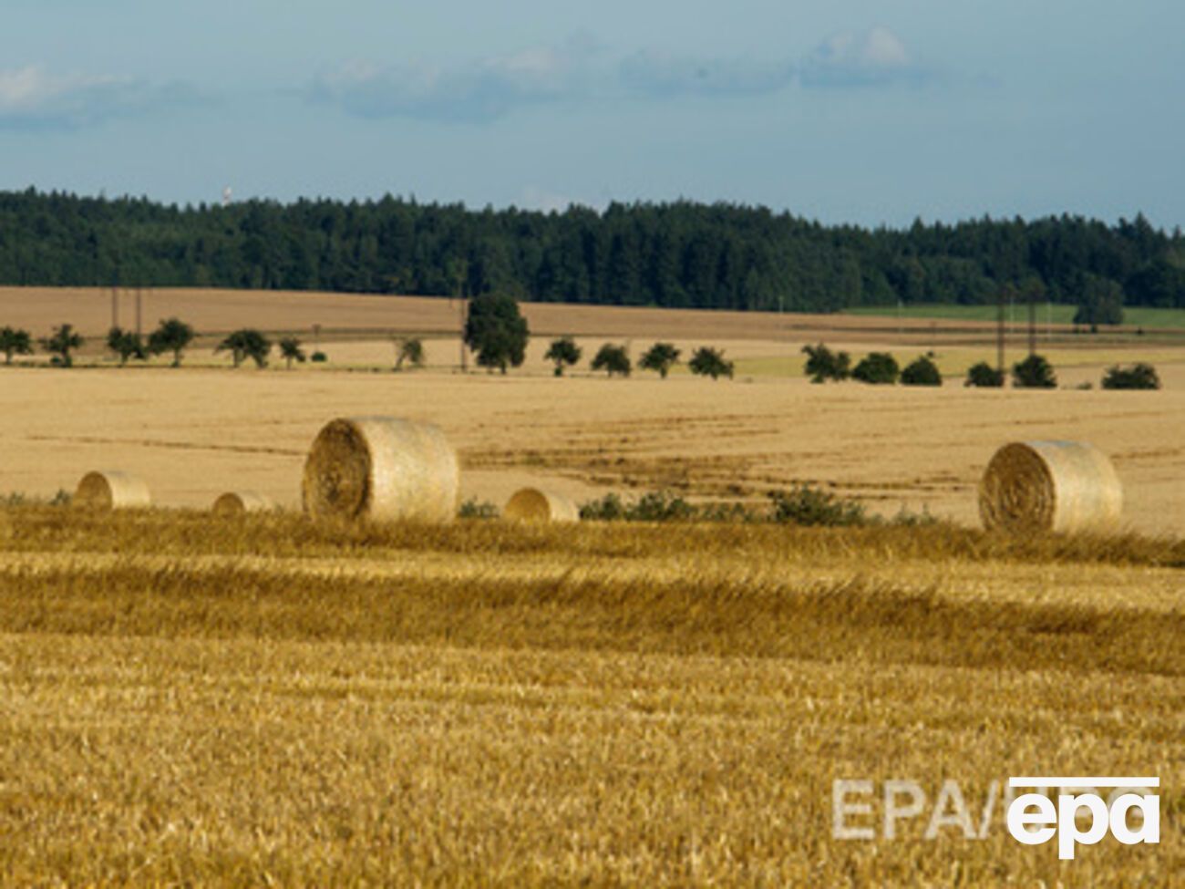 В России спешат убрать урожай у границ с Украиной