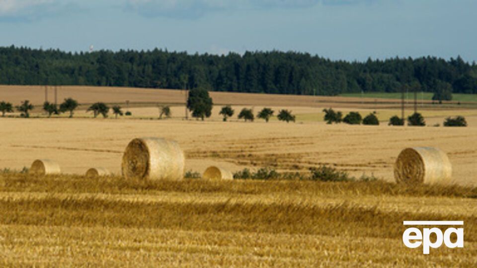 В России спешат убрать урожай у границ с Украиной
