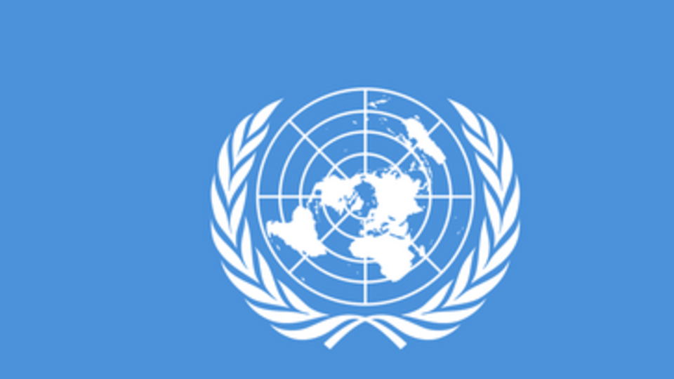 ООН обещает и дальше помогать вынужденным переселенцам из зоны АТО