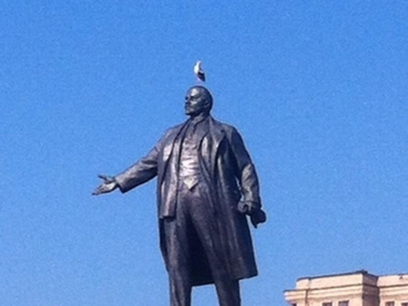 На центральную площадь Харькова прилетели два аиста. Фоторепортаж