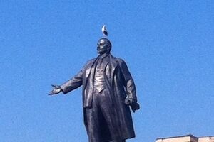 На центральную площадь Харькова прилетели два аиста. Фоторепортаж