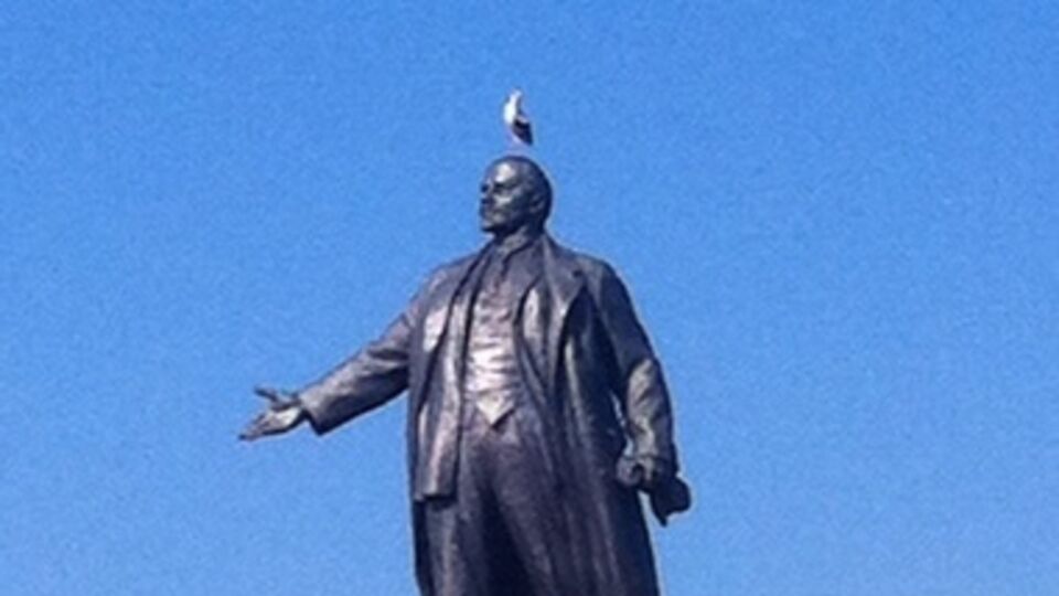 На центральную площадь Харькова прилетели два аиста. Фоторепортаж